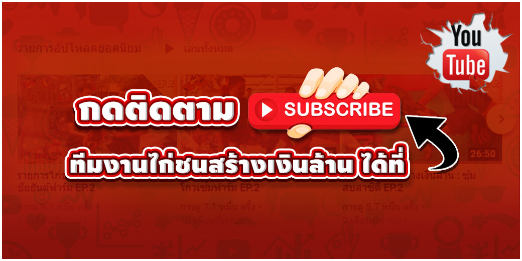 กดติดตาม subscribe ทีมงานไก่ชนสร้างเงินล้าน ได้ที่ Youtube