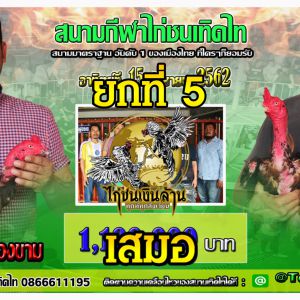 ผลสรุป เพชรหนองขาม ชนครบ 5 ยก เสมอ โค๊กซ่า