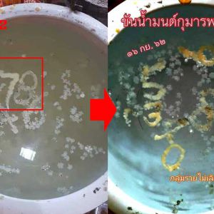 งวดก่อนได้ตรงๆ! หวยอ่างน้ำมนต์กุมารพรายนิล 16/9/62 จับเลขเด็ดไปลุ้นกันเลย