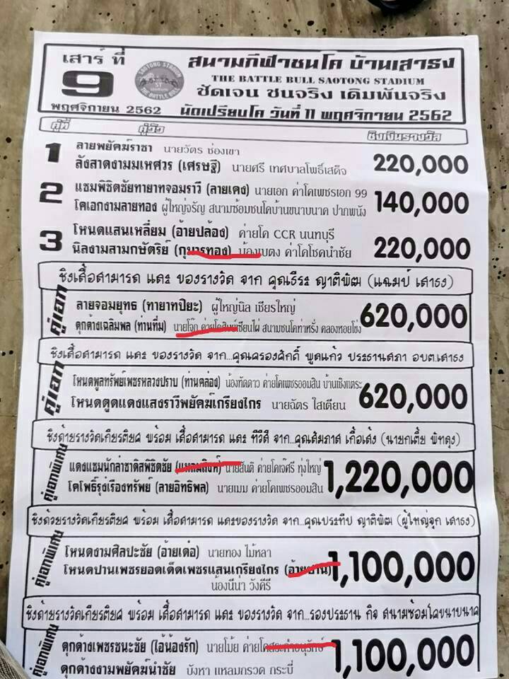 โปรแกรมวัวชนจากสนามกีฬาชนโคบ้านเสาธง 2562/11/9