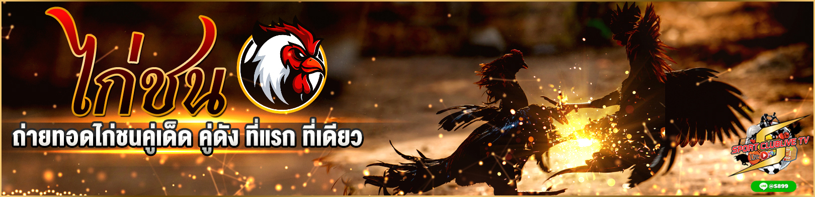 ไก่ชน