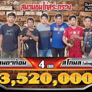 โปรแกรมถ่ายทอดสดจากทีมงานไก่ชนเงินล้าน วันเสาร์ที่ 19 ธันวาคม 2563