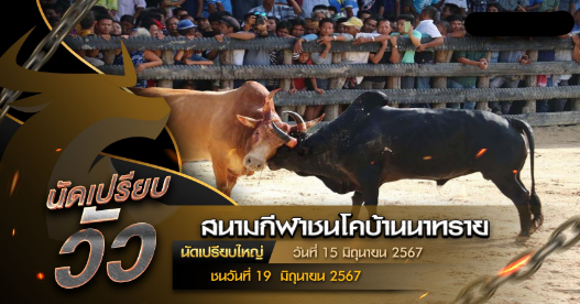 นัดเปรียบวัว วันที่ 15 มิถุนายน 2567