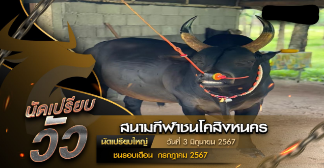 นัดเปรียบวัว วันที่ 3 มิถุนายน 2567