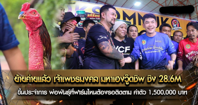 ย้ายค่ายแล้ว จ้าวเพชรมงคล มหาเฮงวู๊ดชิพ