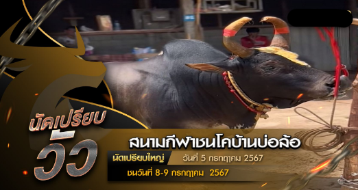 นัดเปรียบวัว วันที่ 5 กรกฎาคม 2567