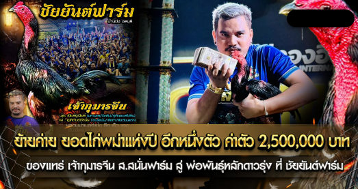 ย้ายค่าย ยอดไก่พม่าแห่งปี อีกหนึ่งตัว ค่าตัว 2,500,000 บาท