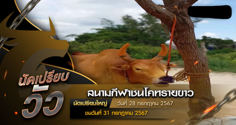 นัดเปรียบวัว วันที่ 28 กรกฎาคม 2567