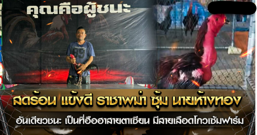 สดร้อน ราชาพม่าตัวเก่ง ซุ้มนายห้างทอง