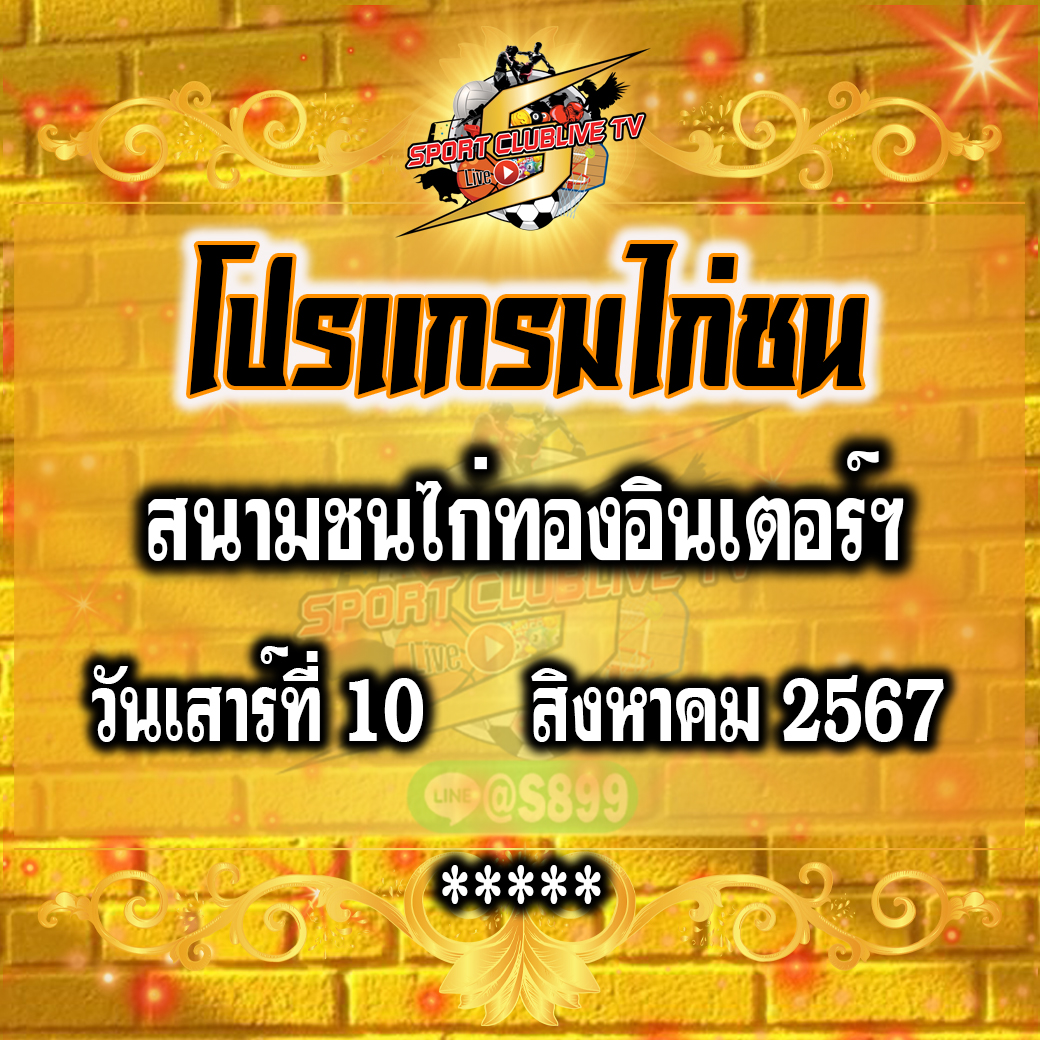 โปรแกรมถ่ายทอดสด สนามชนไก่ทองอินเตอร์ วันเสาร์ที่ 10 สิงหาคม 2567
