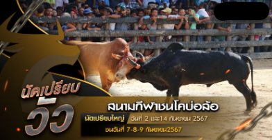 สนามกีฬาชนโคบ่อล้อ นัดเปรียบวัววันที่ 2 เเละ 14 กันยายน 2567