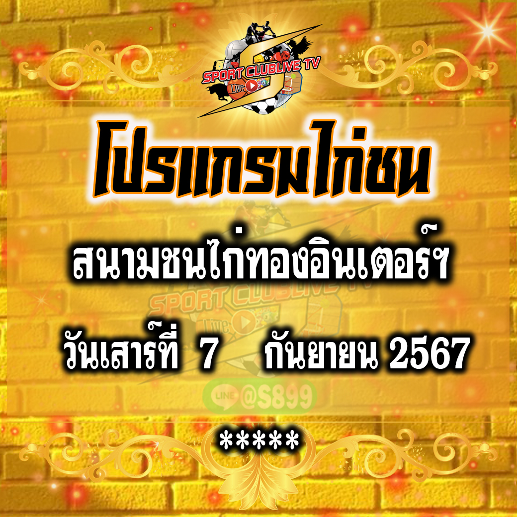 โปรแกรมถ่ายทอดสด สนามชนไก่ทองอินเตอร์ฯ วันเสาร์ที่ 7 กันยายน 2567
