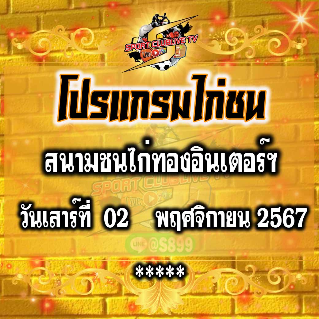 โปรแกรมถ่ายทอดสด สนามชนไก่ทองอินเตอร์ฯ วันเสาร์ที่ 2 พฤศจิกายน 2567
