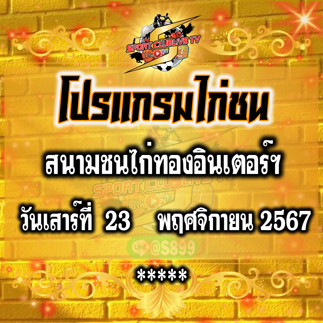 โปรแกรมถ่ายทอดสด สนามชนไก่ทองอินเตอร์ฯ วันเสาร์ที่ 23 พฤศจิกายน 2567