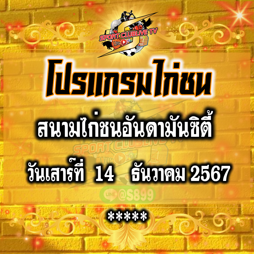 โปรแกรมถ่ายทอดสด สนามไก่ชนอันดามันซิตี้ วันเสาร์ที่ 14 ธันวาคม 2567