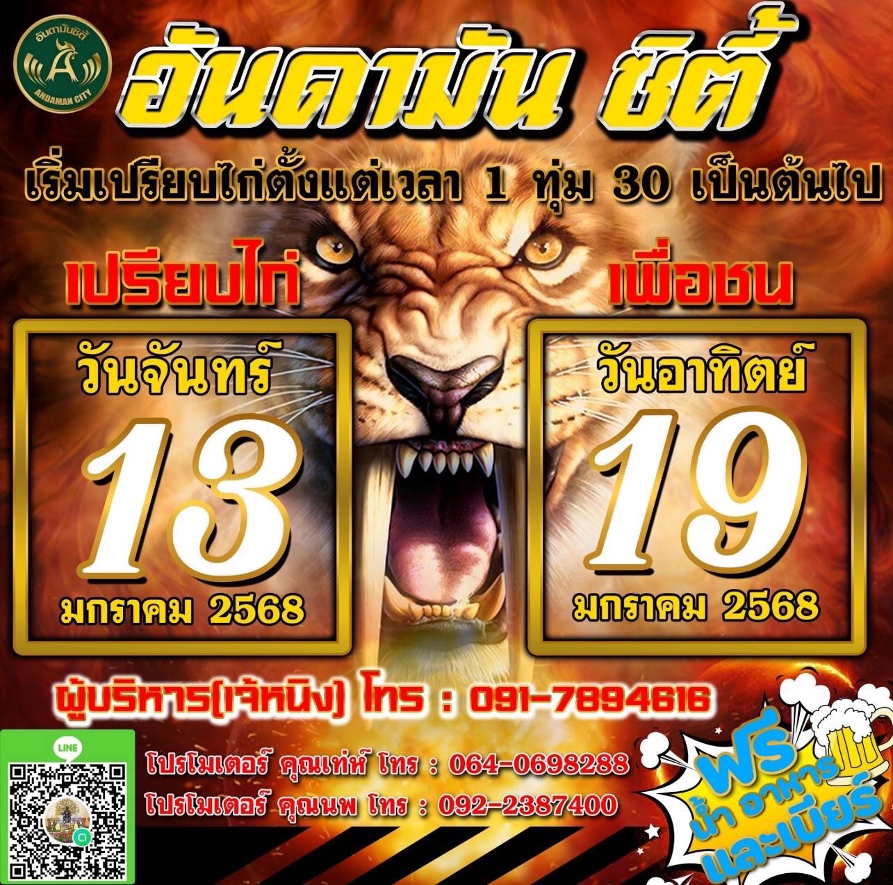 นัดเปรียบไก่ สนามชมไก่อันดามันซิตี้
