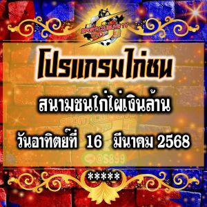 โปรแกรม สนามชนไก่ไผ่เงินล้าน วันอาทิย์ที่ 16 มีนาคม2568