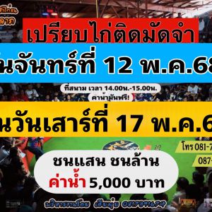 นัดเปรียบไก่ สนามชนไก่มหาลาภ