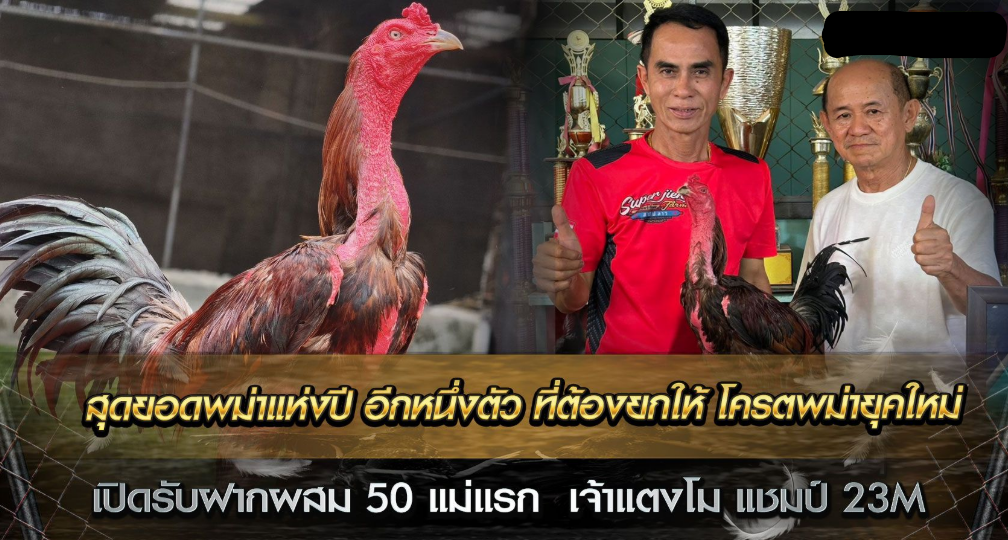 สุดยอดพม่าแห่งปี อีกหนึ่งตัว ที่ต้องยกให้ โครตพม่ายุคใหม่ เจ้าแตงโม ราชาพม่าแชมป์ 23 ล้านบาท
