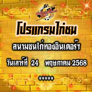 โปรแกรม สนามชนไก่ไก่ทองอินเตอร์ฯ วันเสาร์ที่ 24 พฤษภาคม 2568