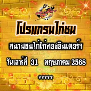 โปรแกรม สนามชนไก่ไก่ทองอินเตอร์ฯ วันเสาร์ที่ 31 พฤษภาคม 2568