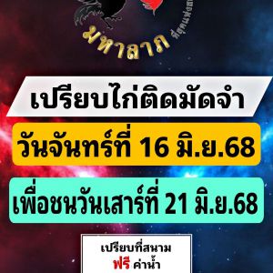นัดเปรียบไก่ สนามชนไก่มหาลาภ