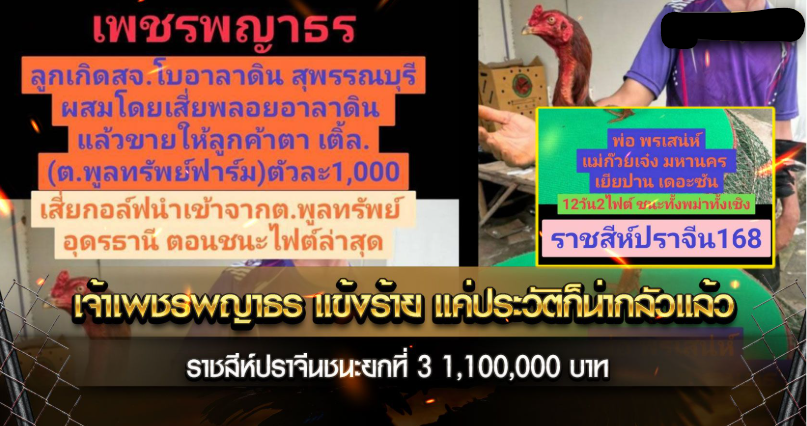 เจ้าเพชรพญาธร แข้งร้าย แค่ประวัติก็น่ากลัวแล้ว