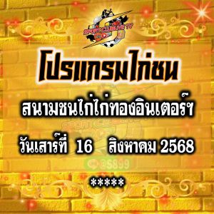 โปรแกรม สนามชนไก่ไก่ทองอินเตอร์ฯ วันเสาร์ที่ 16 สิงหาคม 2568