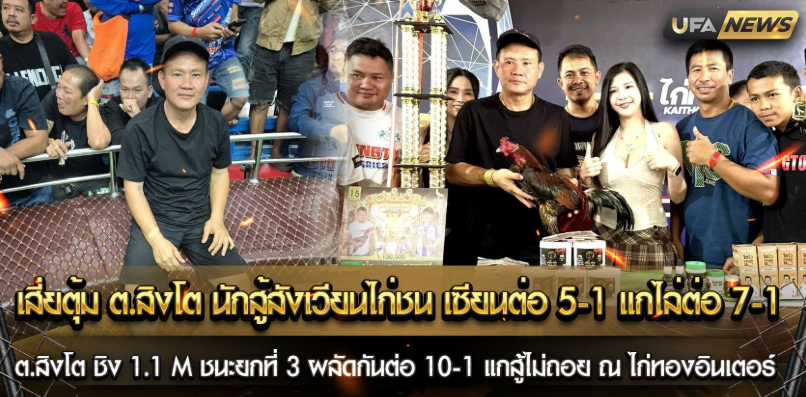 เสี่ยตุ้ม ต.สิงโต นักสู้สังเวียนไก่ชน เซียนต่อ 5/1 แต่ไล่ต่อ 7/1