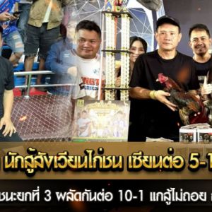 เสี่ยตุ้ม ต.สิงโต นักสู้สังเวียนไก่ชน เซียนต่อ 5/1 แต่ไล่ต่อ 7/1
