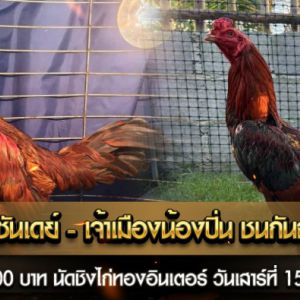 รองคู่เอกสนามไก่ทองอินเตอร์ คู่น้องซันเดย์ พบ เจ้าเมืองน้องปิ่น ชนแน่นอน 100%