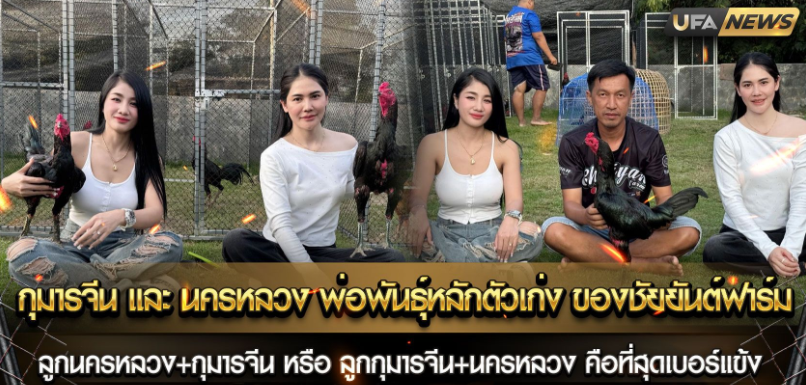 กุมารจีน และ นครหลวง พ่อพันธุ์หลักตัวเก่ง ของชัยยันต์ฟาร์ม