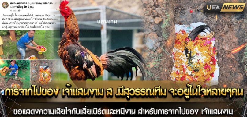 การจากไปของ เจ้าแสนงาม ส.มีสุวรรณทีม จะอยู่ในใจหลายๆคน