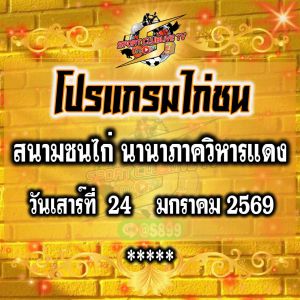 โปรแกรม สนามชนไก่นานาภาควิหารแดง วันเสาร์ที่ 24 มกราคม 2569